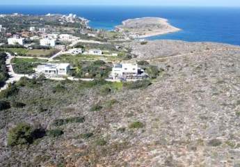 482626-Vorschaubild4