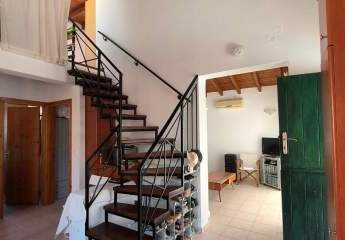 482627-Vorschaubild2