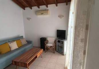 482627-Vorschaubild4