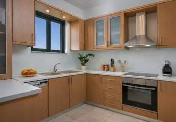 482628-Vorschaubild4