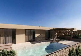 484852-Vorschaubild3