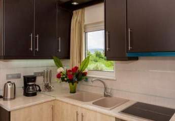 484854-Vorschaubild3