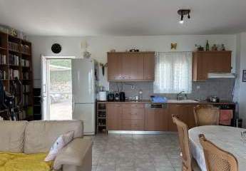 484856-Vorschaubild3