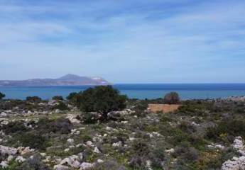 486249-Vorschaubild2