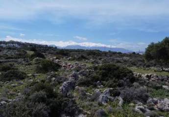 486249-Vorschaubild3