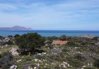 486249-Vorschaubild4