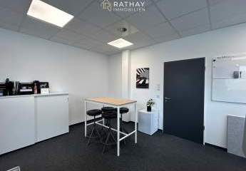 483293-Vorschaubild2