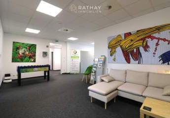 483293-Vorschaubild4