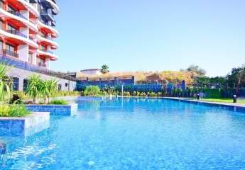 458190-Vorschaubild2