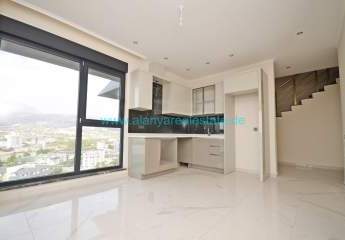 458367-Vorschaubild3