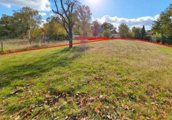 457991-Vorschaubild4