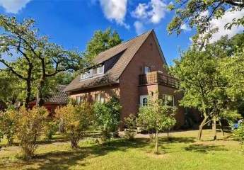 440778-Vorschaubild3