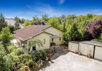 442162-Vorschaubild3