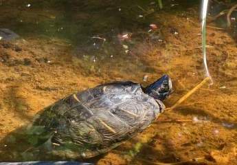 442162-Vorschaubild4