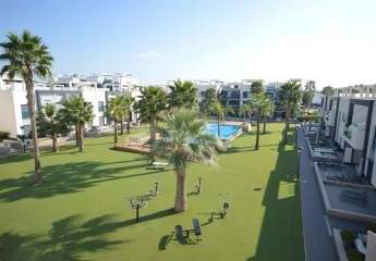 467321-Vorschaubild2