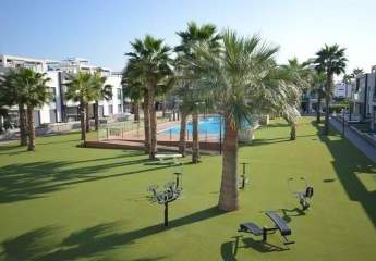 467321-Vorschaubild3