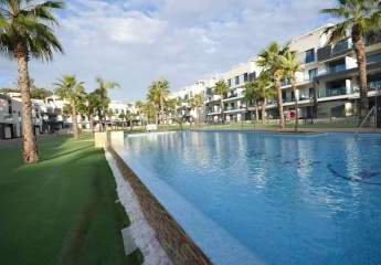 467321-Vorschaubild4