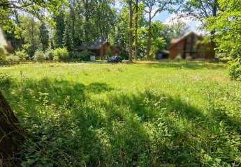 469911-Vorschaubild2