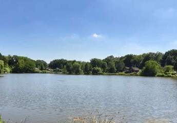 469911-Vorschaubild4