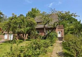 484193-Vorschaubild4