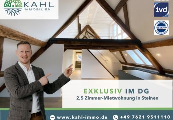Exklusive Dachgeschoss-Wohnung im Herzen von Steinen