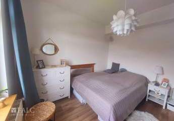 443980-Vorschaubild3