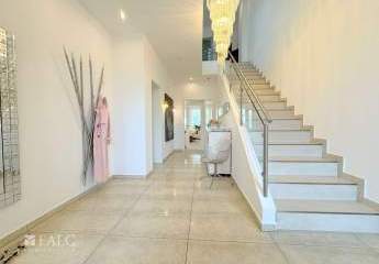 427364-Vorschaubild3