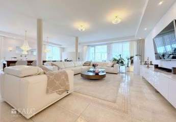 427364-Vorschaubild4