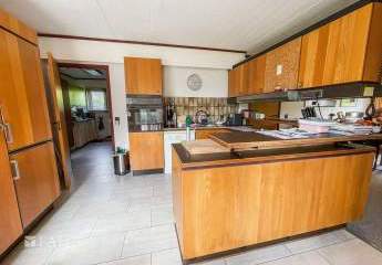 430492-Vorschaubild3