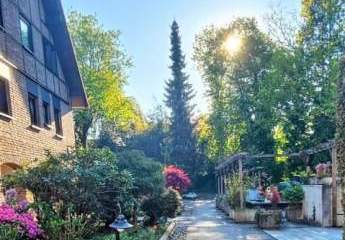 474771-Vorschaubild4