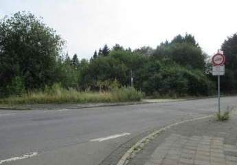 419761-Vorschaubild2