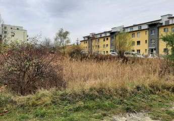 422343-Vorschaubild3