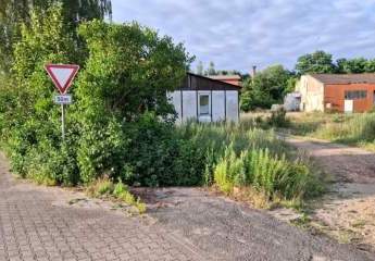 427957-Vorschaubild3