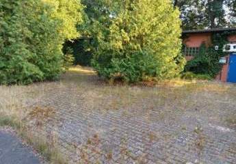 439840-Vorschaubild3