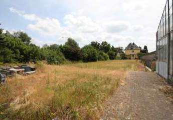 439846-Vorschaubild3