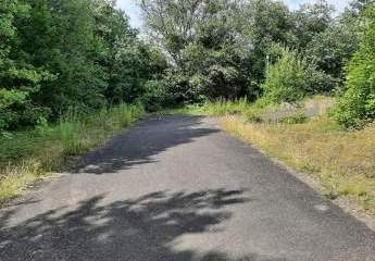 451522-Vorschaubild2