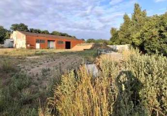 457181-Vorschaubild3