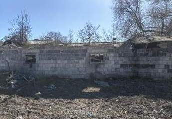 460328-Vorschaubild3