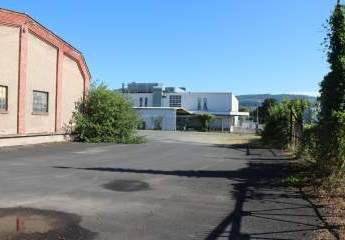 462535-Vorschaubild3