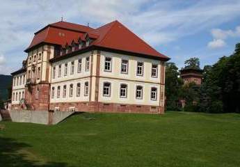 462966-Vorschaubild2