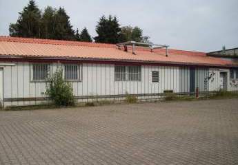 462969-Vorschaubild2