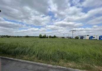 462976-Vorschaubild2