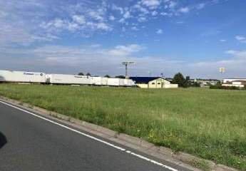 462976-Vorschaubild3