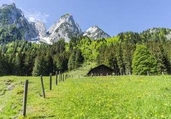 Investment in die Zukunft - Renditeobjekt - Neubau - verpachtet - im Umland von Salzburg