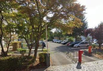 466976-Vorschaubild4