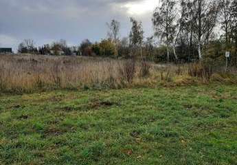 476234-Vorschaubild3