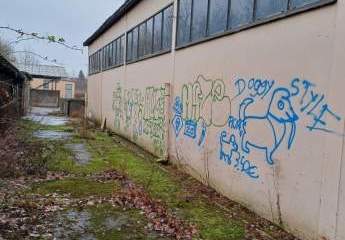 478911-Vorschaubild3