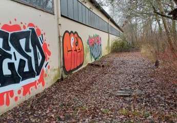 478911-Vorschaubild4