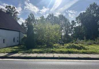 479114-Vorschaubild2