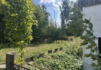 479114-Vorschaubild4